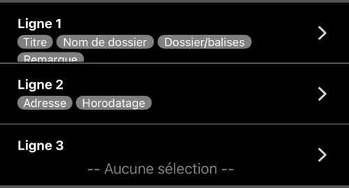 Ligne 1, Ligne 2 et Ligne 3 avec leurs champs ; la Ligne 3 vide