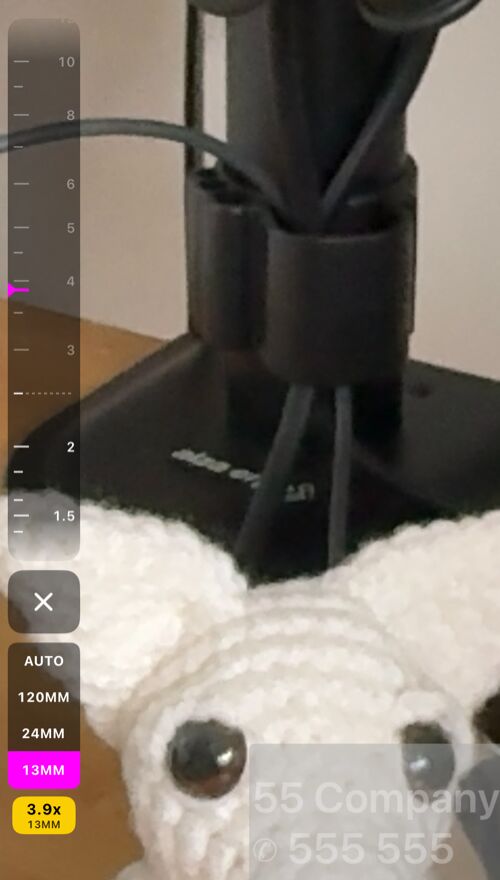 La bande avec l&rsquo;objectif 13MM choisi et le zoom à 3.9x, au-delà de la ligne pointillée où les repères s&rsquo;estompent