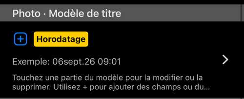 La section Modèle de titre : la ligne du modèle, un Sample en direct et l’indication