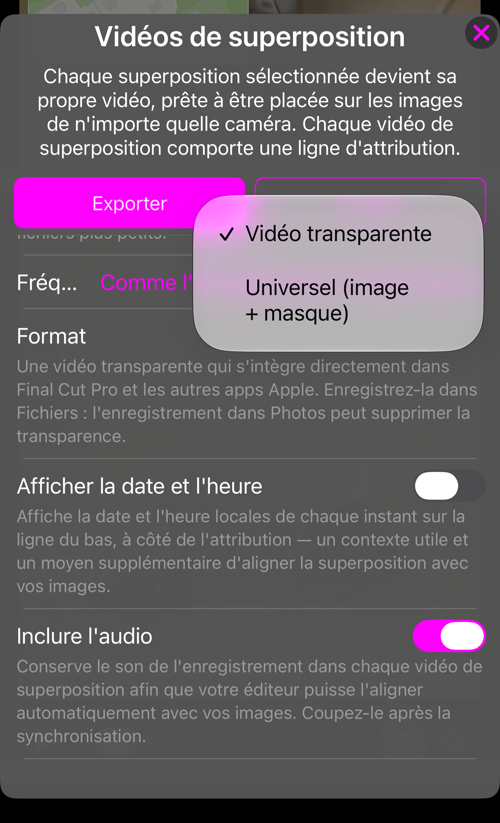 Le choix du format : « Vidéo transparente » ou « Universel (image + masque) »