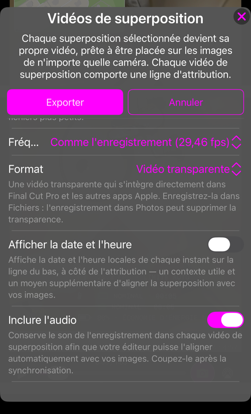 Les autres options : « Fréquence d’images », « Format » avec son explication, « Afficher la date et l’heure » et « Inclure l’audio »