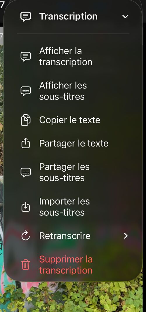 Menu Transcription avec Afficher la transcription, Afficher les sous-titres, Copier le texte, Partager le texte, Partager les sous-titres, Importer les sous-titres, Transcrire à nouveau, Supprimer la transcription et Aide