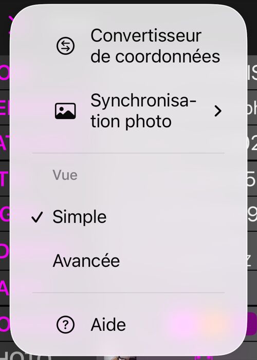 Le menu Plus de l&rsquo;éditeur de point : Convertisseur de coordonnées, Synchronisation photo, la section Vue avec Simple coché et Avancée en dessous, et Aide