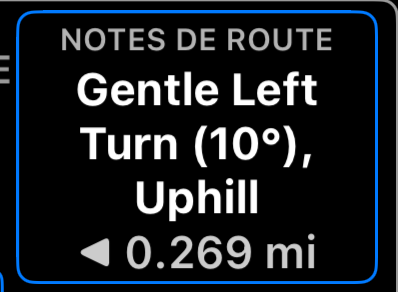 Notes de route sur le panneau de contrôle du rallye : l&rsquo;instruction suivante et la distance restante
