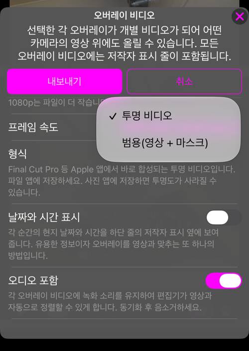 형식 선택: 투명 비디오, 또는 범용(영상 + 마스크)