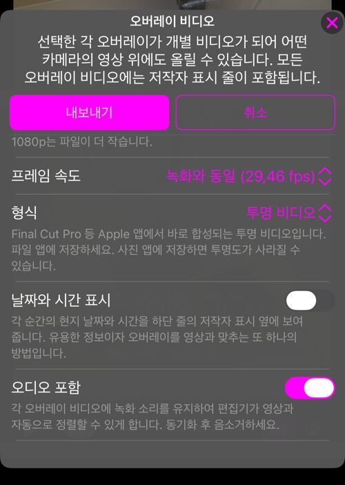 나머지 옵션. 프레임 속도, 설명이 달린 형식, 날짜와 시간 표시, 오디오 포함