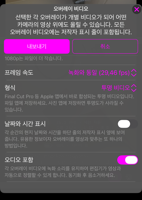 나머지 옵션. 프레임 속도, 설명이 달린 형식, 날짜와 시간 표시, 오디오 포함