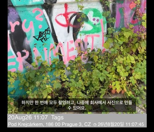 메모와 주소 줄 위, 비디오 위에 자막 한 줄이 표시된 재생 화면