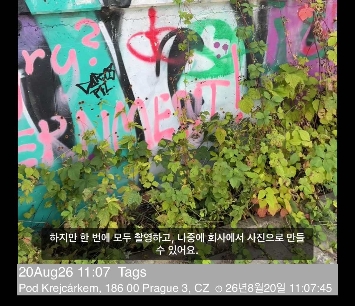 메모와 주소 줄 위, 비디오 위에 자막 한 줄이 표시된 재생 화면