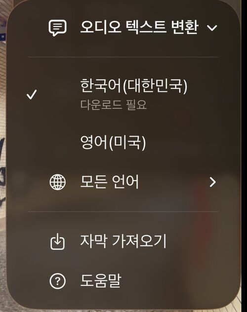 사용자 언어가 먼저 오고 모든 언어, 자막 가져오기, 도움말이 이어지는 텍스트 변환 언어 목록