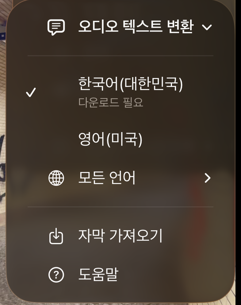 사용자 언어가 먼저 오고 모든 언어, 자막 가져오기, 도움말이 이어지는 텍스트 변환 언어 목록