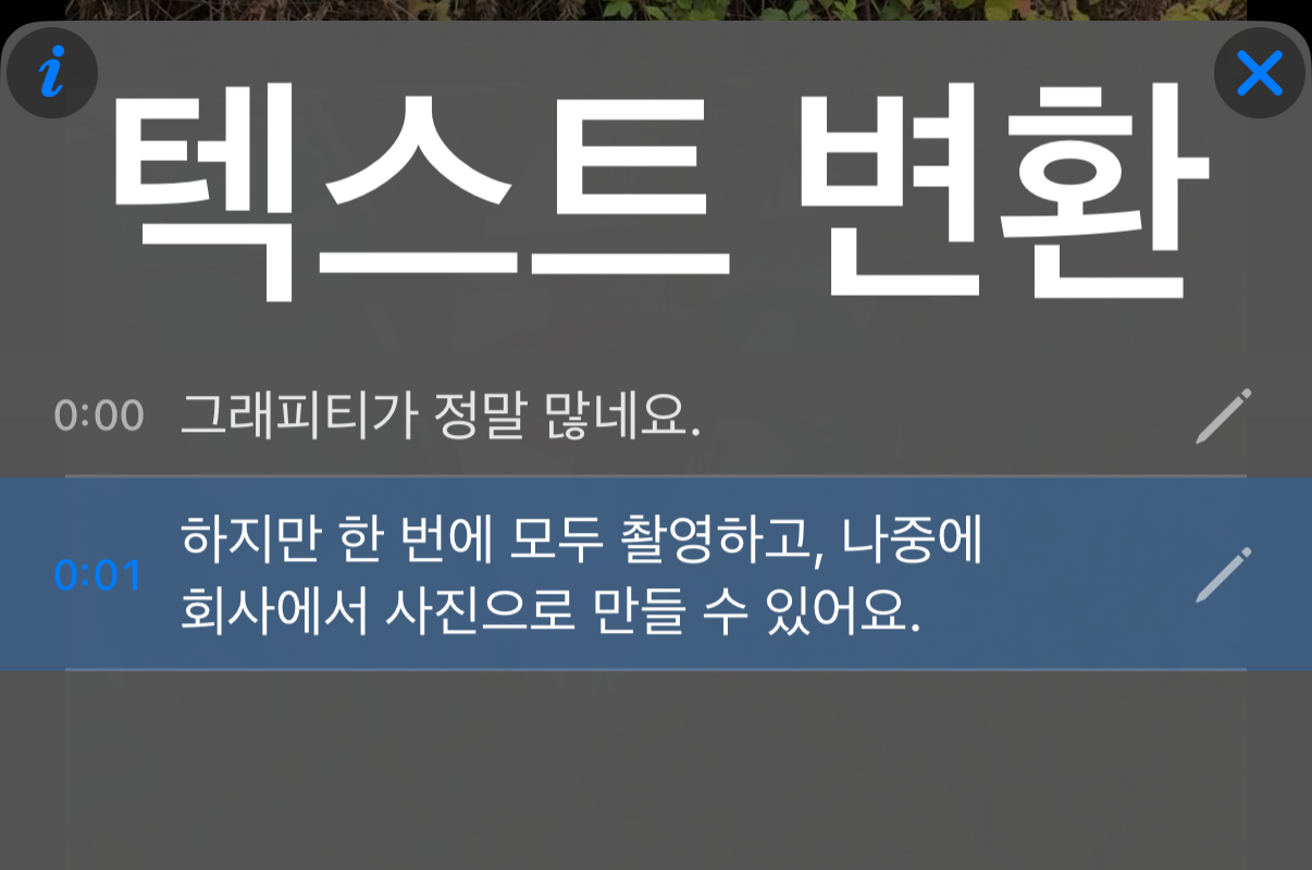 문장마다 시각이 있는 줄이 나열되고 현재 줄이 강조된 텍스트 변환 패널