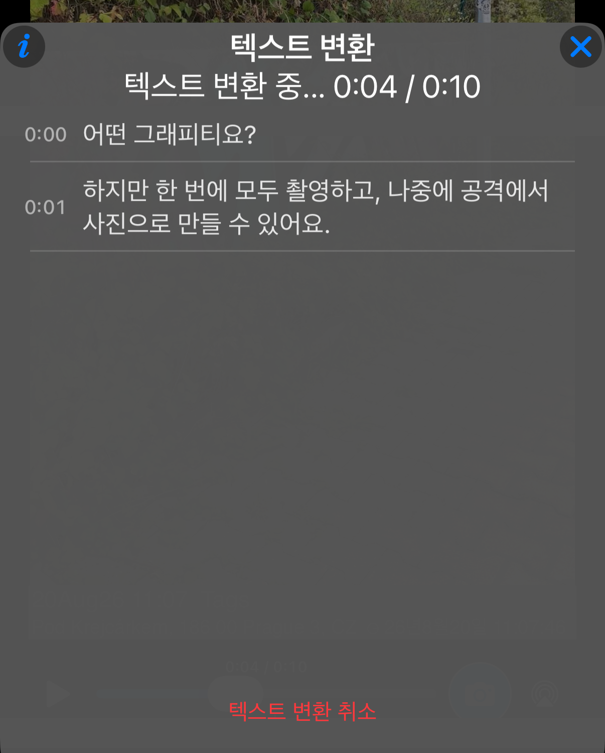 진행 중인 텍스트 변환: 인식된 줄이 패널에 나타나고 비디오 길이 대비 진행 상태가 표시되며 아래에 텍스트 변환 취소 동작이 있음