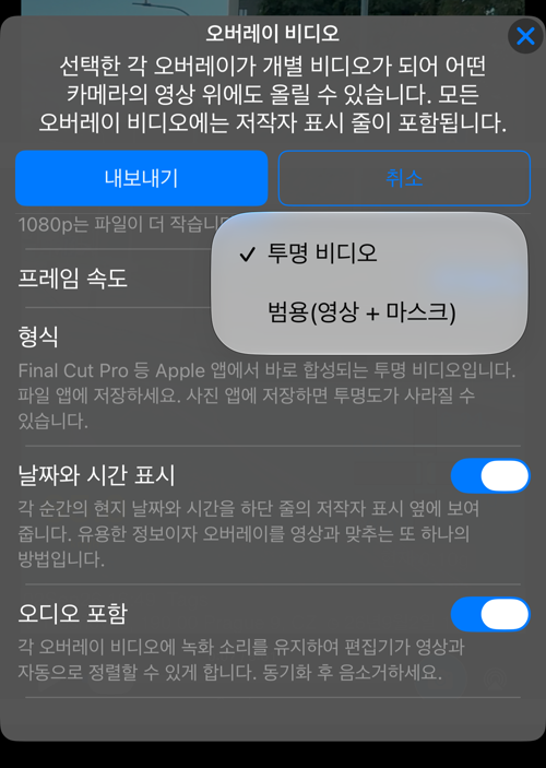형식 선택: 투명 비디오, 또는 범용(영상 + 마스크)