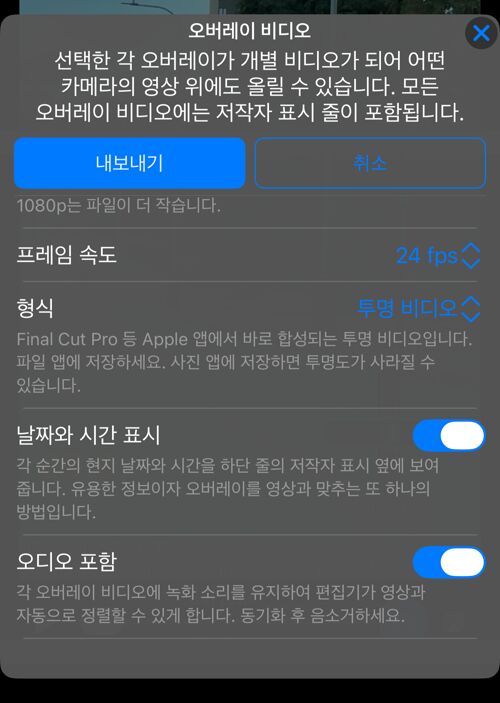 나머지 옵션. 프레임 속도, 설명이 달린 형식, 날짜와 시간 표시, 오디오 포함