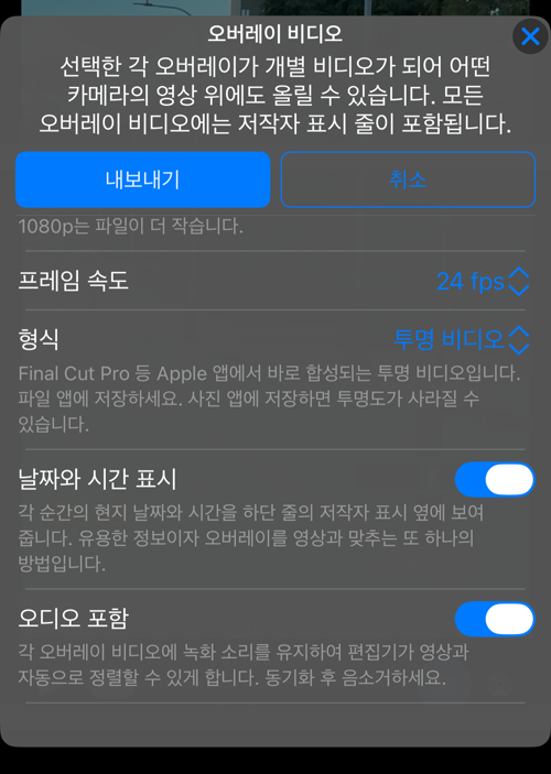 나머지 옵션. 프레임 속도, 설명이 달린 형식, 날짜와 시간 표시, 오디오 포함