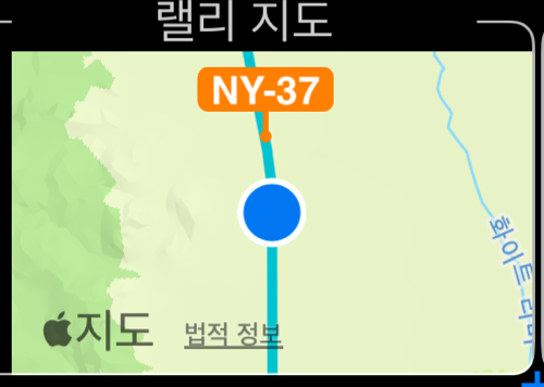 진행 방향을 위로 두고 위치를 따라가는 랠리 지도 게이지. 경로와 마일 마커 패들이 보입니다