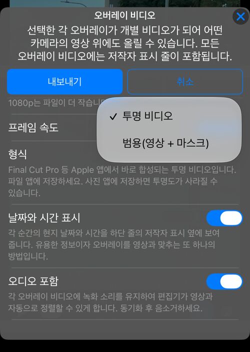형식 선택: 투명 비디오, 또는 범용(영상 + 마스크)