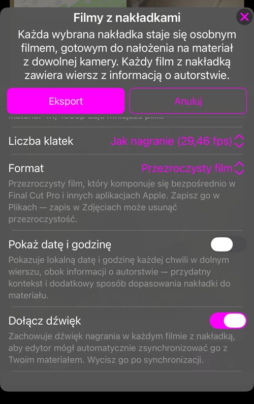 Pozostałe opcje: „Liczba klatek”, „Format” z wyjaśnieniem, „Pokaż datę i godzinę” oraz „Dołącz dźwięk”