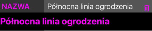 Otwarty wiersz NAZWA, nazwa powtórzona w edytowalnym polu pod nim i przycisk kosza w wierszu