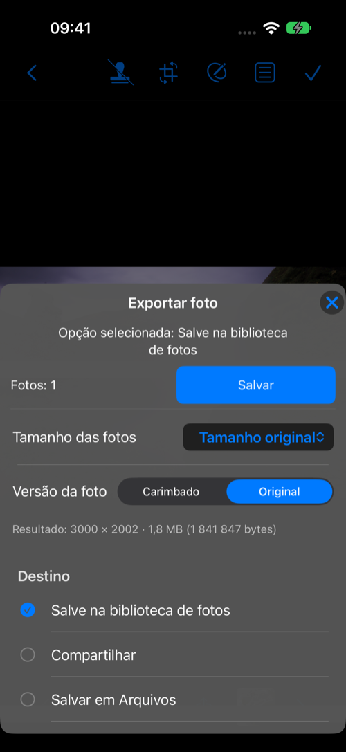 Exportar foto: tamanho, versão e destino