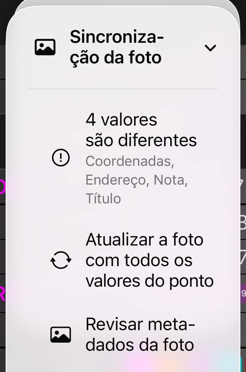 O menu Sincronização da foto: uma linha de status dizendo 3 valores diferem, Atualizar a foto com todos os valores do local, e Revisar metadados da foto