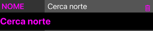 A linha NOME aberta, o nome repetido em um campo editável abaixo e um botão de lixeira na linha