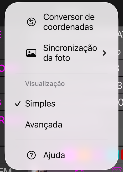 O menu Mais do editor de locais: Conversor de coordenadas, Sincronização da foto, a seção Vista com Simples marcada e Avançada abaixo, e Ajuda
