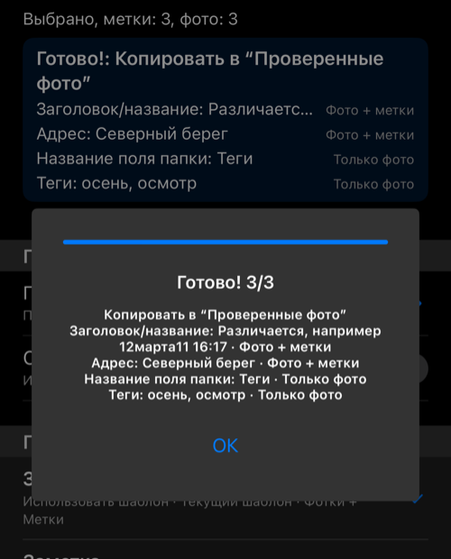 Панель с результатом 3/3 после копирования выбранных фотографий и точек