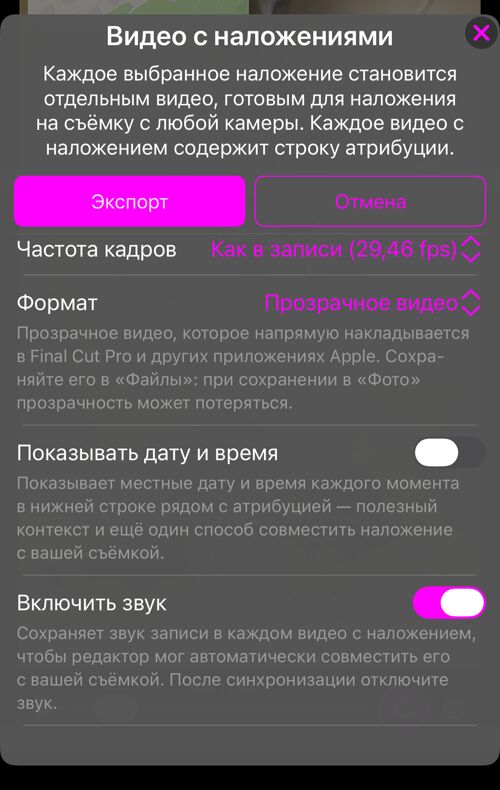 Остальные параметры: «Частота кадров», «Формат» с пояснением, «Показывать дату и время» и «Включить звук»