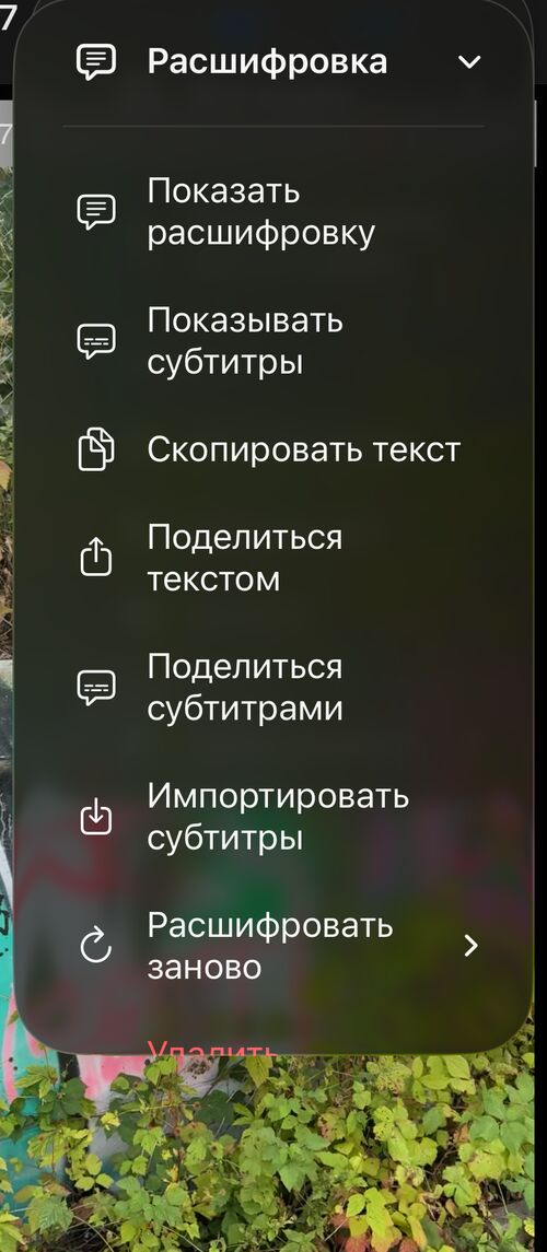 Меню Расшифровка с пунктами Показать расшифровку, Показать субтитры, Копировать текст, Поделиться текстом, Поделиться субтитрами, Импортировать субтитры, Расшифровать заново, Удалить расшифровку и Помощь
