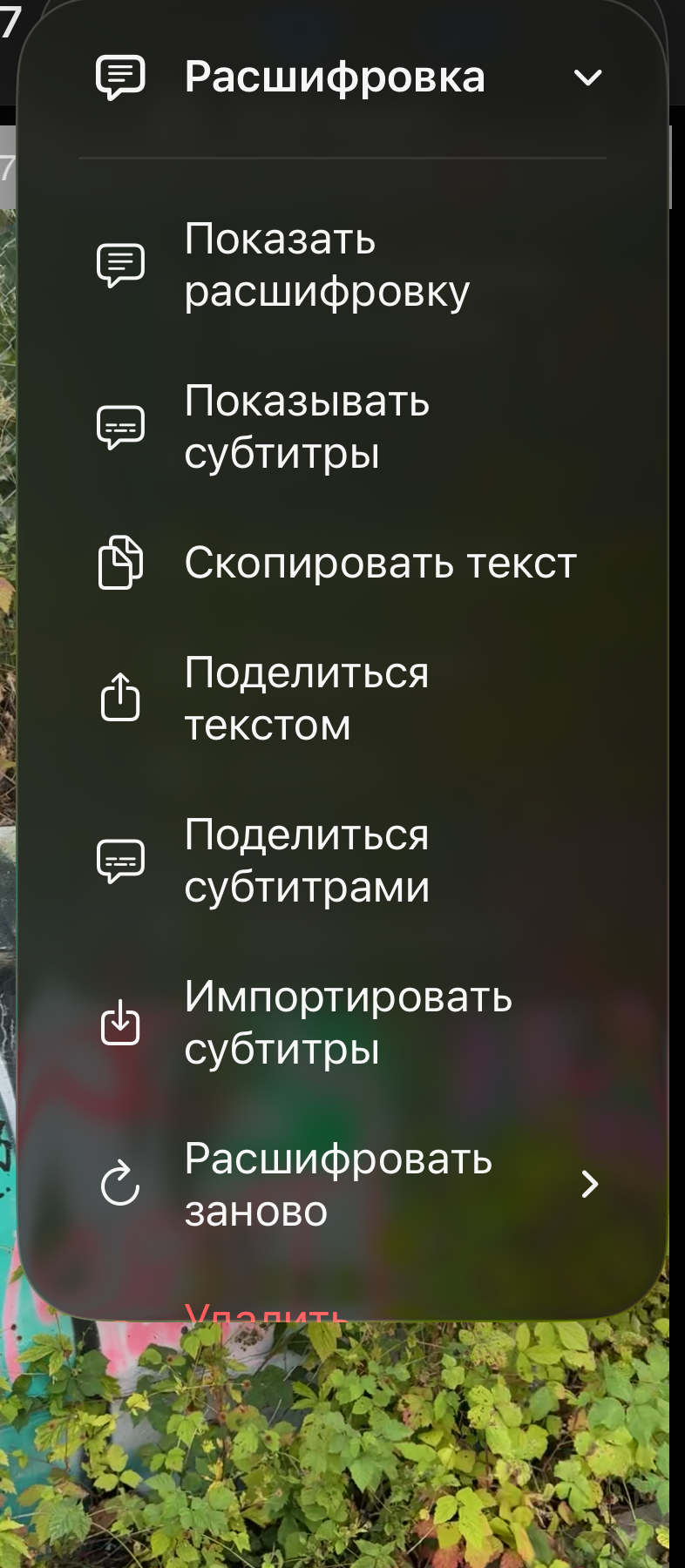 Меню Расшифровка с пунктами Показать расшифровку, Показать субтитры, Копировать текст, Поделиться текстом, Поделиться субтитрами, Импортировать субтитры, Расшифровать заново, Удалить расшифровку и Помощь