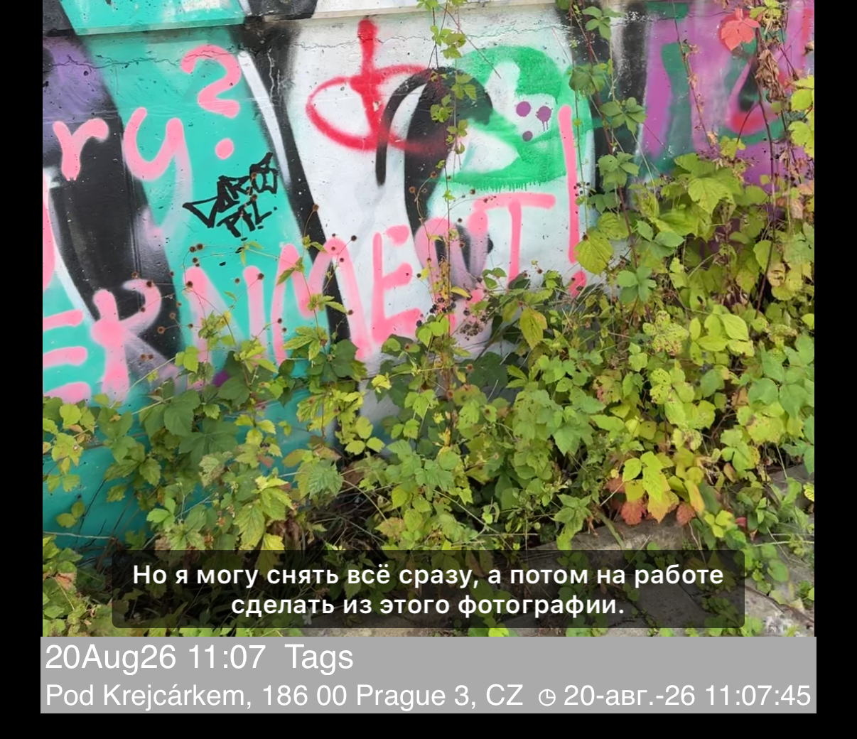 Воспроизведение с строкой субтитров поверх видео, над строками заметок и адреса