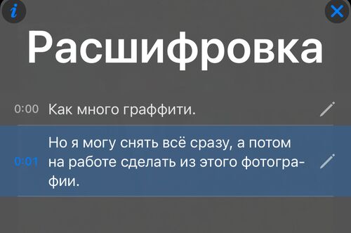 Панель расшифровки: по строке на фразу с отметкой времени, текущая строка подсвечена