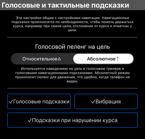 Голосовые и вибро-подсказки