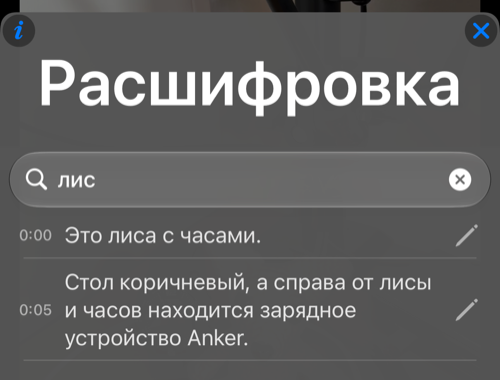 Поиск по слову лис показывает две подходящие строки расшифровки с исходными отметками времени и карандашами для редактирования
