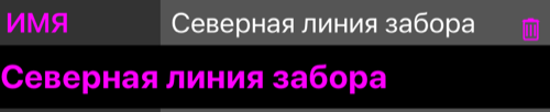 Раскрытая строка ИМЯ: имя повторено в поле ввода под ней, в самой строке — кнопка корзины