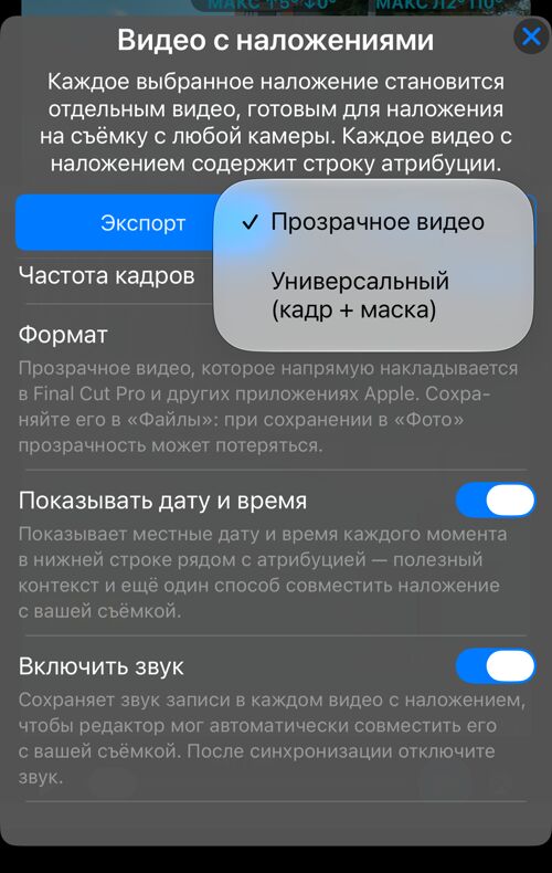 Выбор формата: «Прозрачное видео» или «Универсальный (кадр + маска)»