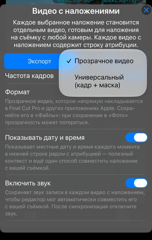 Выбор формата: «Прозрачное видео» или «Универсальный (кадр + маска)»