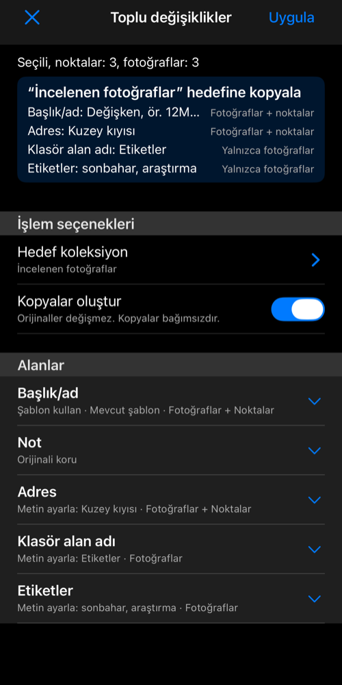 Hedef koleksiyona kopyalama gözden geçiriliyor; değişiklik özetinde adres ve fotoğraf etiketleri yer alıyor