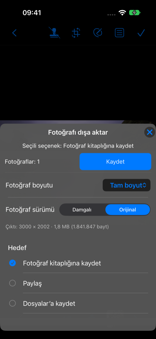Fotoğraf dışa aktarma: boyut, sürüm ve hedef