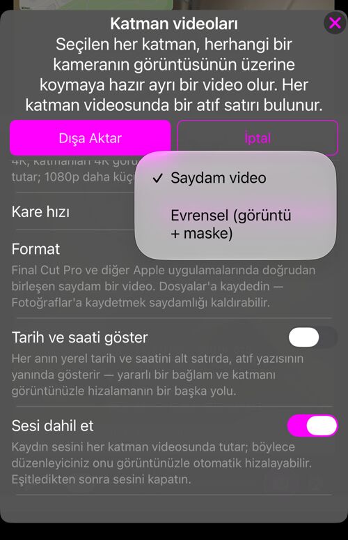 Format seçimi: “Saydam video” ya da “Evrensel (görüntü + maske)”