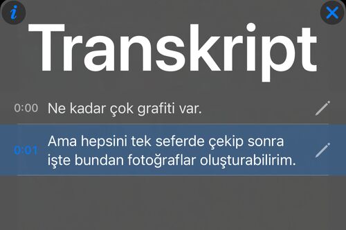 Her ifade için zaman damgalı bir satır ve vurgulanan geçerli satırla transkript paneli
