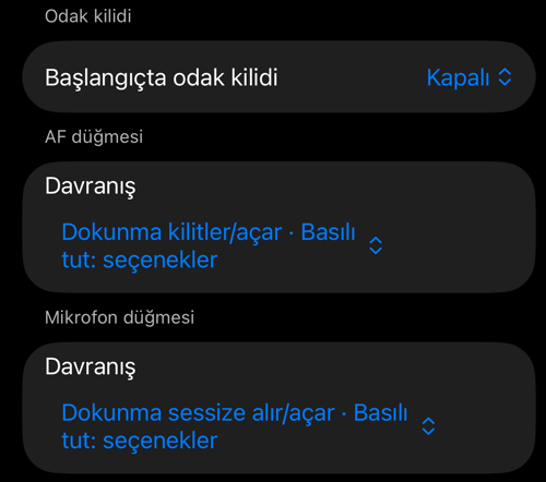 Vizör denetimleri ayarları: Başlangıçta odak kilidi, AF düğmesi ve Mikrofon düğmesi bölümleri