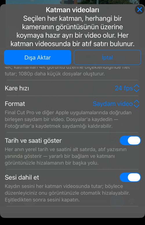 Kalan seçenekler: “Kare hızı”, açıklamasıyla “Format”, “Tarih ve saati göster” ve “Sesi dahil et”