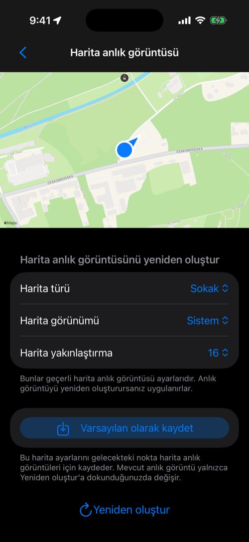 Enlarged point map snapshot with Map type, Map appearance, Map zoom, Save as default, and Re-generate