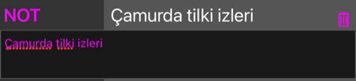 Açılmış NOT satırı, altında notun çok satırlı bir alanda görünmesi ve satırda bir çöp kutusu düğmesi