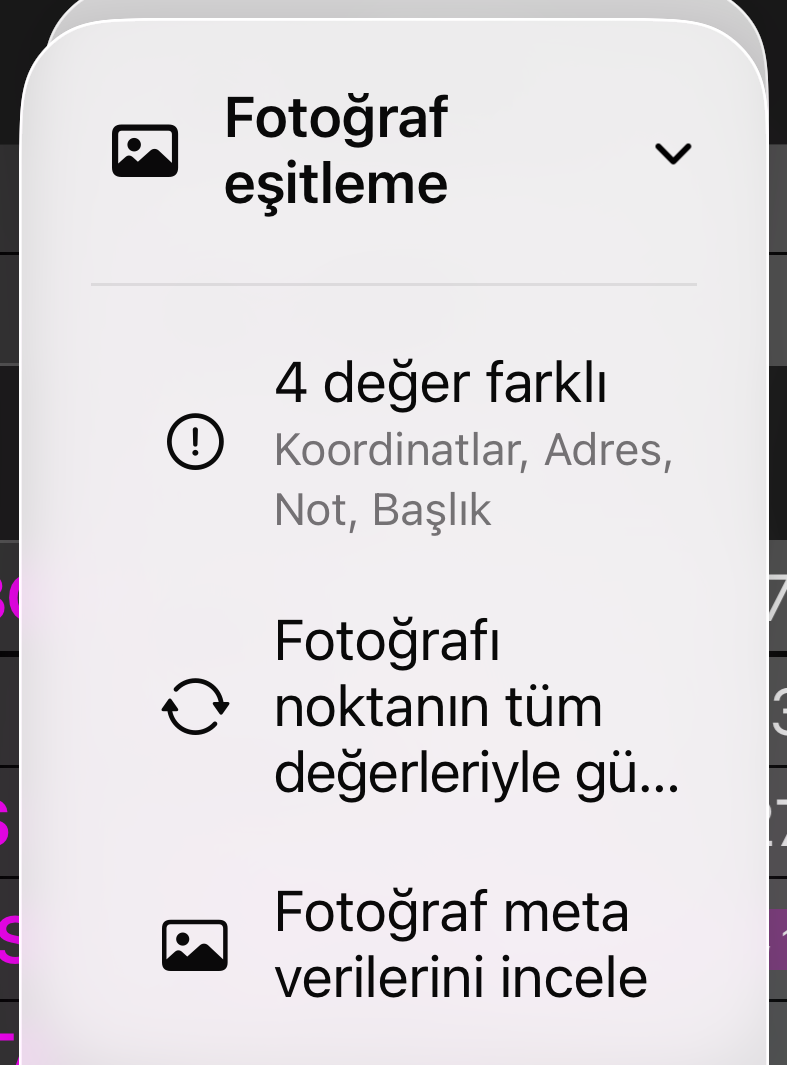 Fotoğraf eşitleme menüsü: 3 değer farklı yazan bir durum satırı, Fotoğrafı ara noktanın tüm değerleriyle güncelle ve Fotoğraf meta verilerini gözden geçir