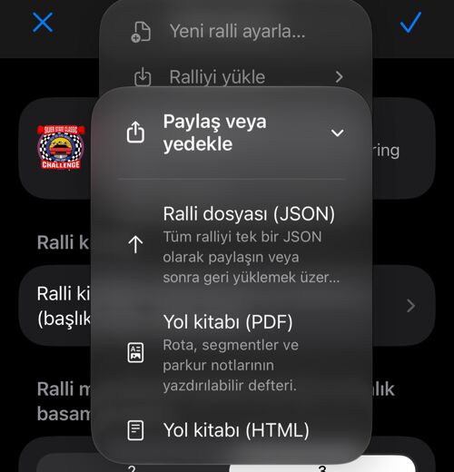JSON, PDF ve HTML seçenekleriyle paylaşım menüsü