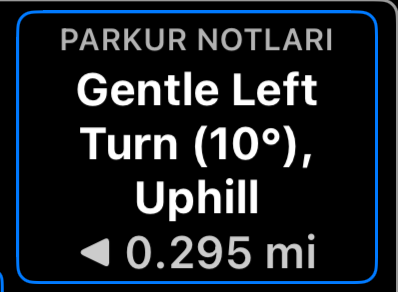 Ralli kontrol panelinde parkur notları: sonraki talimat ve kalan mesafe